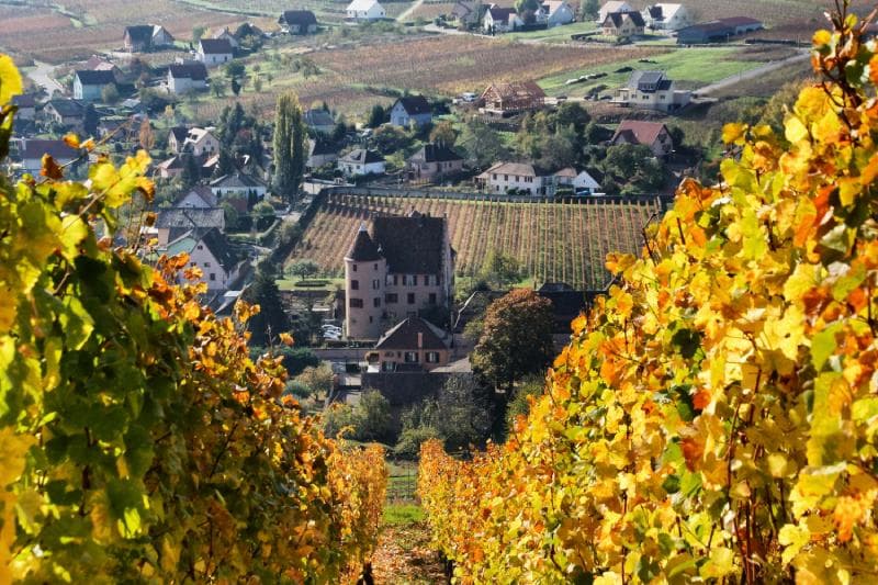 Autour des Vignes