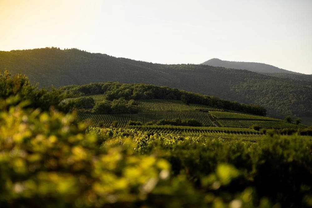 La Vallée Noble
